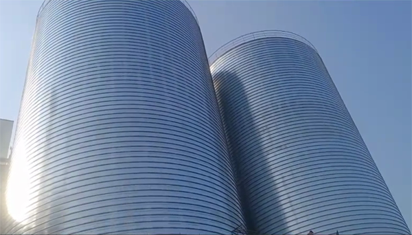 嘉陵2座混凝土高架卷板仓